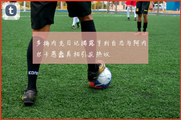 多梅内克日记揭露亨利自恋与阿内尔卡愚蠢真相引发热议